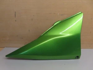 Kawasaki Z1000 A1H 2003 41.220 miglia - Carena destra (T) - Foto 1 di 4