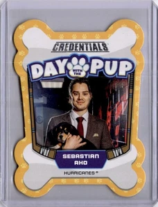 Sebastian Aho Day With The Pup 2023-24 Credentials DWTP-3 - Picture 1 of 2