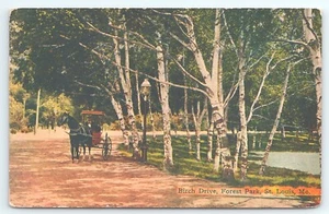 Postal Birch Drive Forest Park St Louis Missouri Horse Drawn Buggy publicado 1908 - Imagen 1 de 2