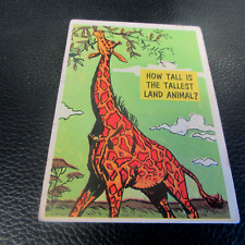 1957 TOPPS ISOLATION BOOTH - #22  HOW TALL IS THETALLEST LAND ANIMAL?  NICE CARD