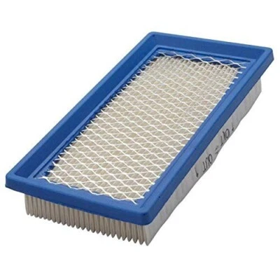 OakTen Replacement Air Filter for Briggs Stratton 494511 494511S