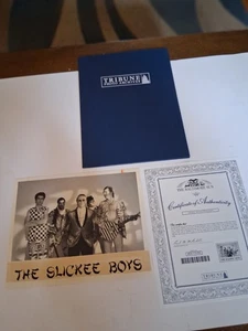 Tribune Photo Archives Of The Slickee Boys With Certficate Of Authenticity  - Picture 1 of 12