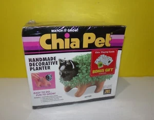 CHIA HAUSTIERKÄTZCHEN handgefertigte dekorative Pflanzgefäße Kätzchen Katze Neu im Karton versiegelt NEU mit Karten - Bild 1 von 2