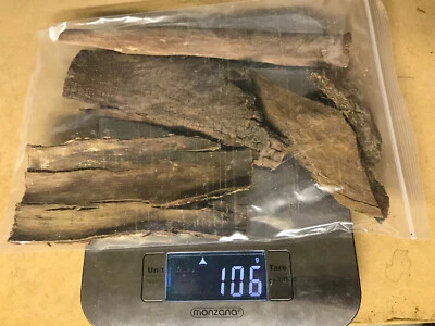 Sonderangebot Seemandelbaumrinde Terminalia CatappaBark gesundes Wasser Aquarium - Bild 1 von 3