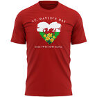 St Davids Day Daffodil Heart T Shirt Men shirt Wales Him dewi sant saint y dd...