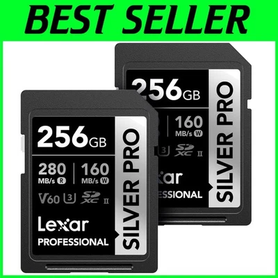 Professional SILVER PRO SD Card 2-PK, UHS-II, 256GB V60 - Image 1 of 4