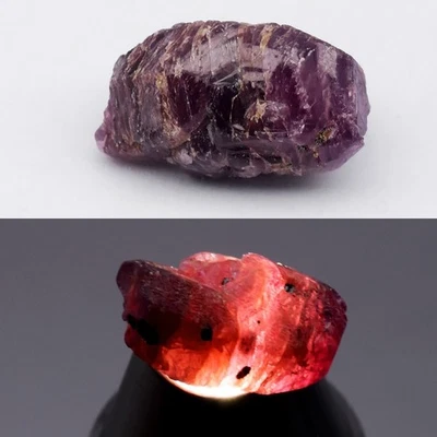 💎 9.75ct 15.2x8.8mm Rough Natural Purplish Red Ruby - Unheated, Madagascar Gem - Image 1 of 4