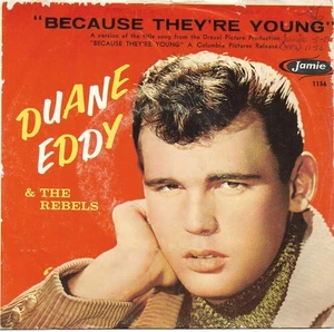 Picture Sleeve ONLY: Duane Eddy & The Rebels: "Because They're Young" - from '60 - Picture 1 of 2