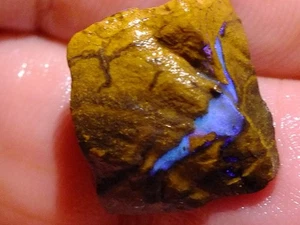 Boulder Opal 15 Karat Top Electric Blue Fire, Australian Opal - Bild 1 von 5