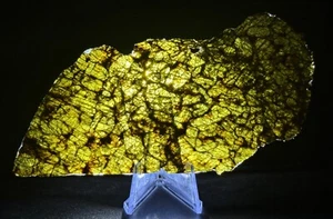 NWA 7831 (54.83g) Large Diogenite Meteorite Slice - High Quality & Translucent - Picture 1 of 21