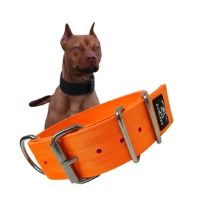 SparkDog 2” Working Dog Collar – Heavy Duty 4-Ply Nylon & Polyester Webbing, ... - Picture 1 of 8