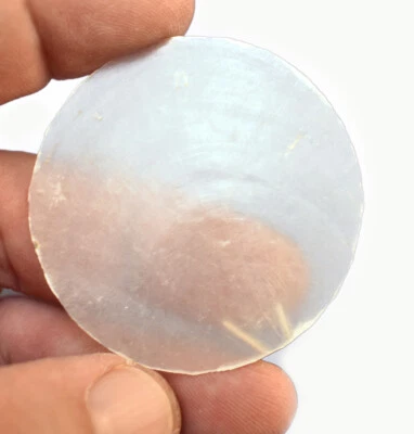 50 conchas Capiz blancas redondas de 2" (50 mm) sin agujeros artesanías carillones de viento artesanía concha Foto 1 de 4