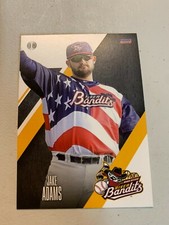 Jake Adams Card 2018 Quad Cities River Bandits Team Card