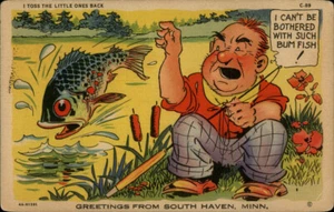 South Haven,MN Greetings Wright County Minnesota Postcard - Picture 1 of 2