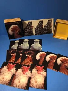 RARE! Stephen Green Armytage Extraordinary Chickens 15 Note Cards Art In Box - Picture 1 of 8