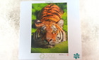 Tiger Earthpix Damier Media 500 pc Jigsaw Puzzle 21.25" X 15" Buffalo Games