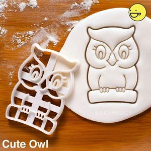 Hibou Mignon Coupe Biscuit Ornithology Oiseau Graduation Fête Forêt Bébé Douche - Picture 1 of 5