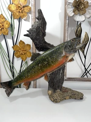 Vintage Rainbow Brook Trout Fish Mount Taxidermy Real Skin 18” Driftwood Display - Image 1 of 4