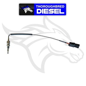 Quadzilla EGT Probe w/Weather Connector Plug Universal; CCS015084B - Picture 1 of 1