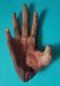 Monkey's Paw / Monkey Hand Prop Replica Hand-Made novelty 3 Wishes Claw “cursed” - Picture 1 of 4