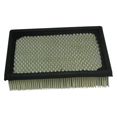 Filtro de aire Ecogard XA3590 Foto 1 de 4