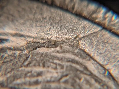 2002-D Interior Die Break US Mint Error Jefferson Nickel Spikehead - Image 1 of 4