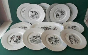 SERVIZIO PIATTI DA PESCE X 12 PORCELLANA FILO ORO ARZBERG BAVARIA VINTAGE. FFF60 - Foto 1 di 10