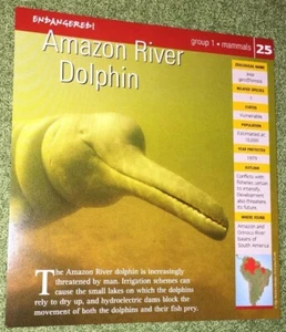 Tarjeta de animales en peligro de extinción - mamífero - delfín del río Amazonas #25 - Imagen 1 de 2