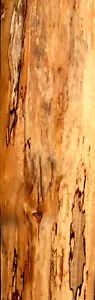 AWESOME LOOKING 4PC SET! SUPER SPALTED BOARDS MULTI COLORED SPALTED MAPLE LUMBER - Picture 1 of 6