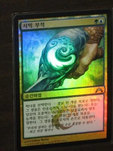 (Foil) [NM] MTG Korean, Gatecrash, 1 x Simic Charm - Picture 1 of 1