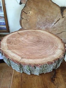 Rebanada de tronco rústico de 18", anillo, soporte de madera para pastel de bodas, pieza central soporte de madera - Imagen 1 de 12