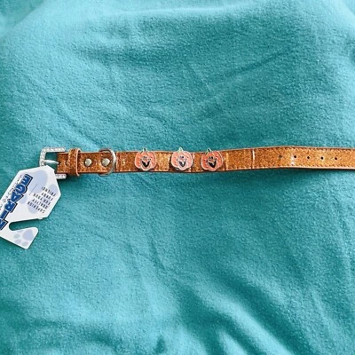 Mirage Jack O Lantern Orange Pumpkin Glitter Rhinestone Dog Collar 12” - Image 1 of 4