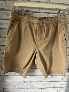 Holister Men's Shorts Size Small - Picture 1 of 4