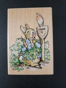 Stampendous Beatrix Potter Peter Rabbit w radishes Wood Mounted Rubber Stamp - Picture 1 of 4