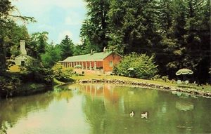 Mitchell's Motel vintage Postcard - Highlands North Carolina - unposted - Picture 1 of 2