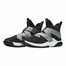 lebron soldier x11 sfg