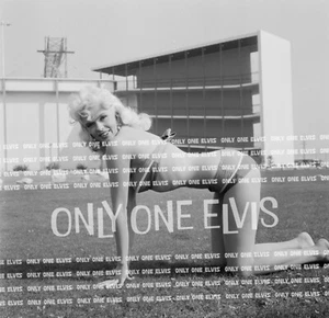 SEXY Pin-Up JAYNE MANSFIELD 12x12 (FOTO) IMPRESIÓN MAESTRA 007 - Imagen 1 de 1