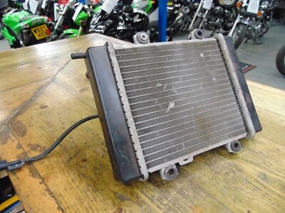 RADIADOR Y VENTILADOR HYOSUNG MS3 250 Foto 1 de 4