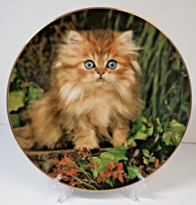 Purrfect Pose from Feline Friends #A0900 Edición Limitada Princeton Gallery - 1995 - Imagen 1 de 3