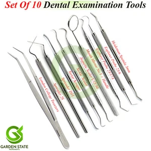 Professional Dental Teeth Kit Oral Care Tools Vet Deep Cleaning Probes Tweezers - Picture 1 of 11