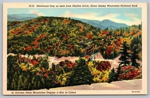 Postkarte Neu gefunden Lücke im Herbst Skyline Dr Great Smoky Mountains Nationalpark - Bild 1 von 2