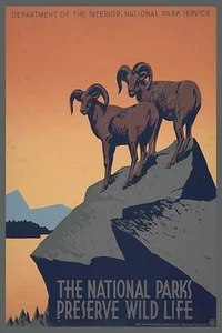 National Parks Preserve Wildlife Stretched Canvas Giclee Art WPA Poster Art 17 - Picture 1 of 4