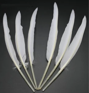 50x Natural White Goose Primary Wing Feather Arrow Making Party Costume Decor - Picture 1 of 2