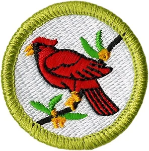 BIRD STUDY MERIT BADGE CURRENT DESIGN MINT TYPE K BSA 100TH 2010 BACK - Picture 1 of 3