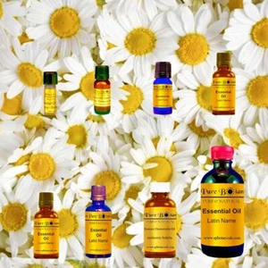 Roman Chamomile Essential Oil 100% PURE & NATURAL Sizes 1ml - 8oz Aromatherapy! - Picture 1 of 11