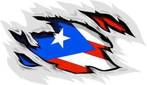 PUERTO RICO -FLAG -CAR PR STICKER DECAL,BANDERA,BORICUA, STICKER #19 - Bild 1 von 1