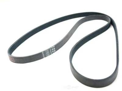 Cinturón multi costilla Mopar 94469BMJH 2012 2013 2019 para Dodge Grand Caravan 2011-2020 Foto 1 de 2