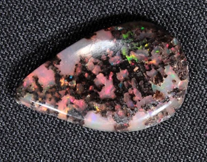 Precious Stable Opal Conk Wood Cabochon Virgin Valley Nevada - 2.2 ct - opalized - Picture 1 of 8