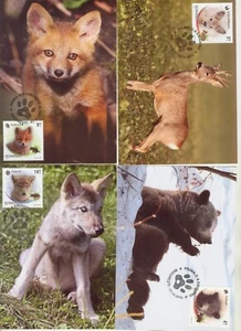 2012 , Roumanie Animals Wild cubs , set of 4 maxicards - Picture 1 of 4