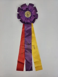 Vintage 1967 Band Champion Jugend Aktivität sechster jährlicher Preis lila rot gelb - Bild 1 von 9